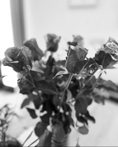 materinski dan, Titaness